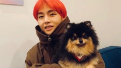V and Yeontan