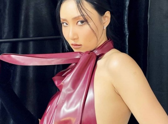 MAMAMOO Hwasa’s Outfit at The Golden Disc Awards Criticized For Being Overly Sexy