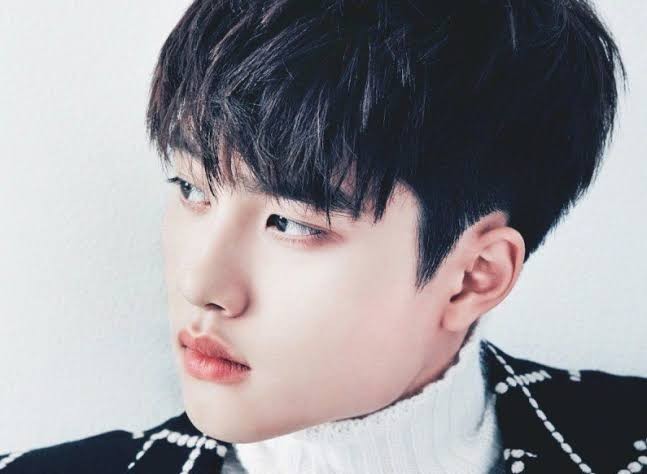 These are the 5 Reasons Why You Should Stan EXO D.O. Now