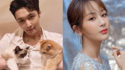 EXO Lay Was Rumored to Be Dating; But the Idol's Cats Capture Fans' Interest More - Here's Why 