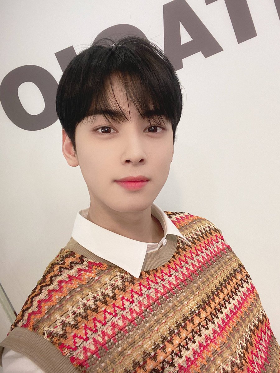 ASTRO Cha Eun Woo's Net Worth: From Making Over $5 Million From Acting, To  Owning A Luxurious Penthouse Worth $4 Million - This 'True Beauty' Star  Surely Shines The Brightest With His Earnings!