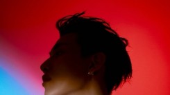 BAMBAM, clear features just by silhouette