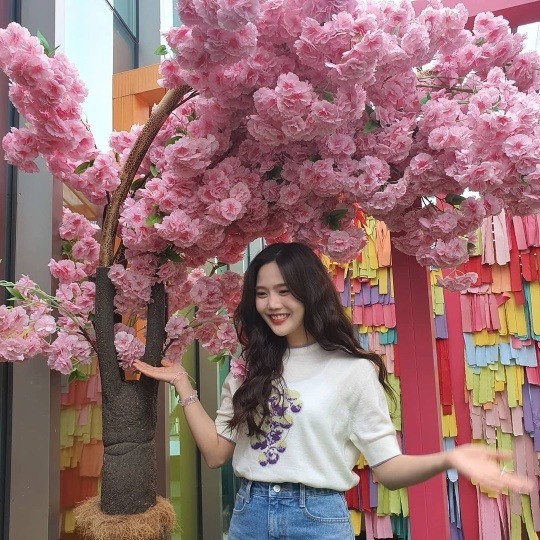 OH MY GIRL Hyojung, fresh and beautiful floral beauty "Mimi's favorite wave"