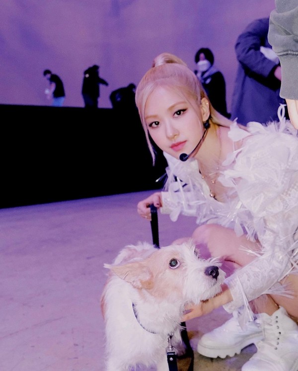 Meet Hank, BLACKPINK Rose's Newly Adopted Cute Dog