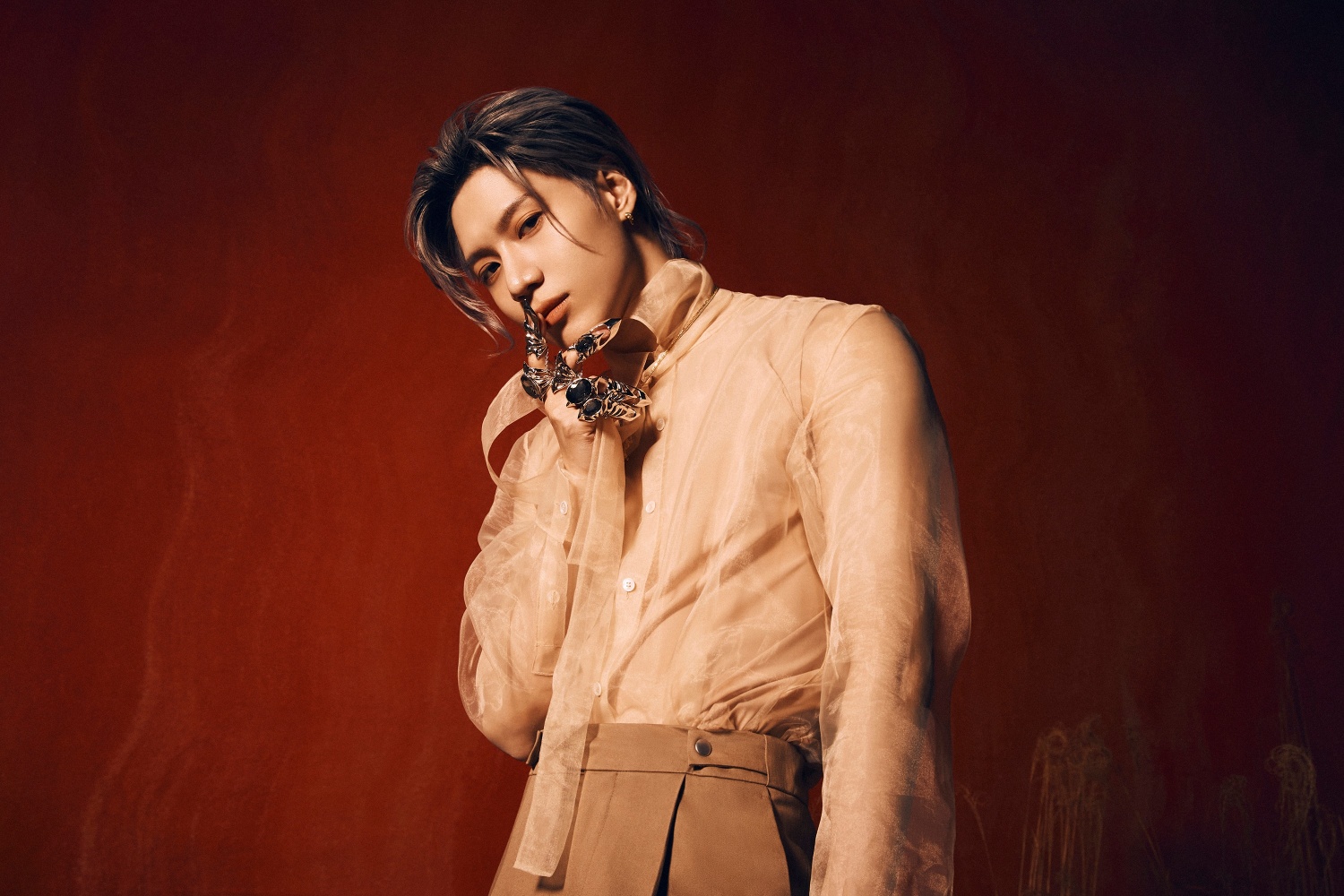 Image for SHINee Taemin's Military Col