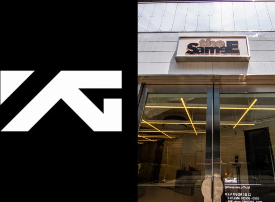 YG Entertainment the SameE