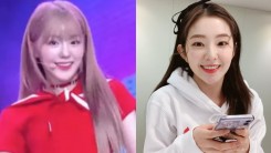 Rookie Idol Gains Attention for Her Uncanny Resemblance to Red Velvet Irene
