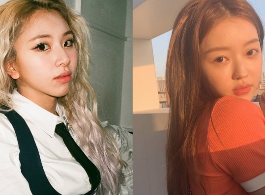 TWICE Chaeyoung, Oh My Girl Arin, and More: Korean Media Outlets Select the K-Pop Idols Who are Petite With Amazing Proportions
