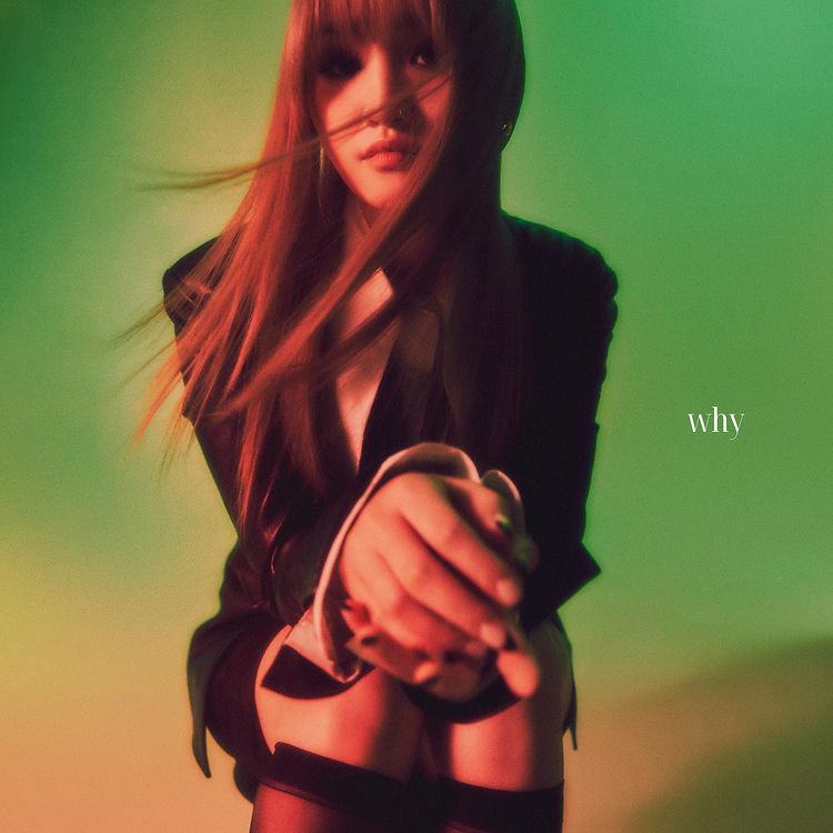 SOLE, as a fashionista… New single 'Why' profile picture