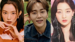 Red Velvet Irene, TWICE Jihyo, and More: K-Pop Music Video Editor Names the Idols Who Look Amazing In Real Life