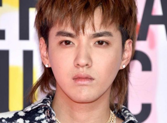 Chinese Insiders Reveal How Severe the Penalty Kris Wu May Face if Found Guilty Following Arrest