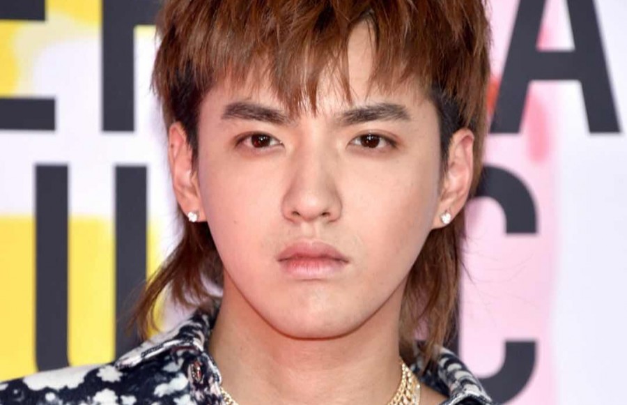 Has Kris Wu's Mother Been Arrested As Well? - Hype MY