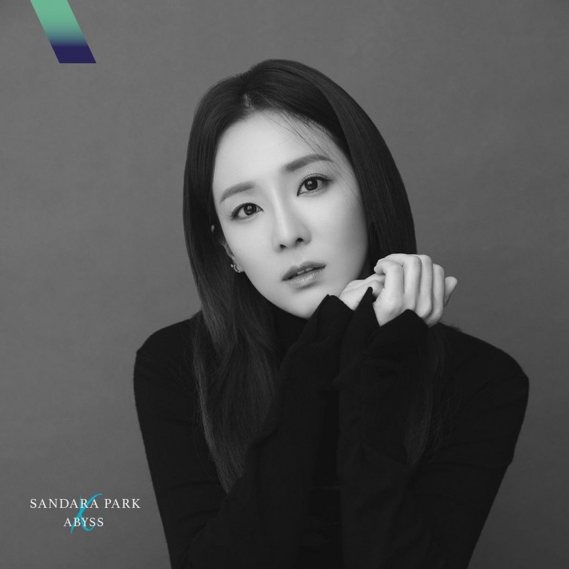 Sandara Park Opens Up About Not Having a Solo Album Since Debut in 2NE1 + Hints at a Possible Solo Release