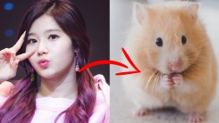 These 5 Popular K-Pop Idols are Known for Their Hamster-like Visuals