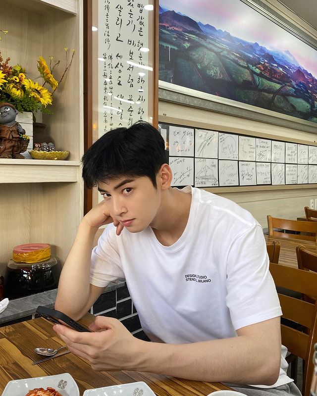 Cha Eun-woo, looks handsome even after cooking and cooking