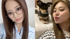 ONCE Asks TWICE Tzuyu if They Can Be Her Dog — Here’s How She Reacted