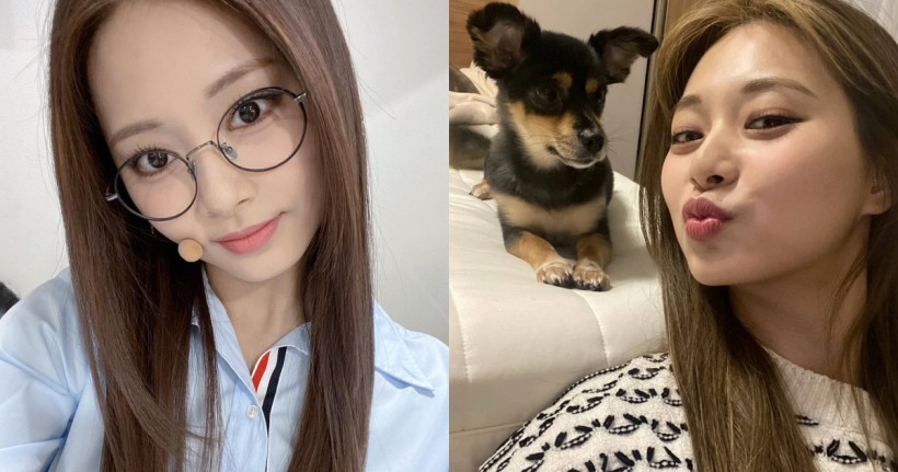 ONCE Asks TWICE Tzuyu if They Can Be Her Dog — Here’s How She Reacted