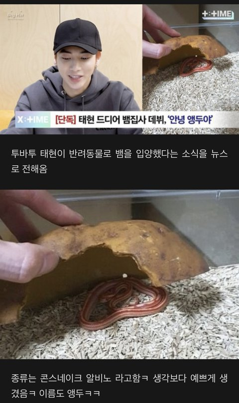 TXT Taehyun Draws Criticism for Putting Pet Snake Up for Adoption After Months of Raising It