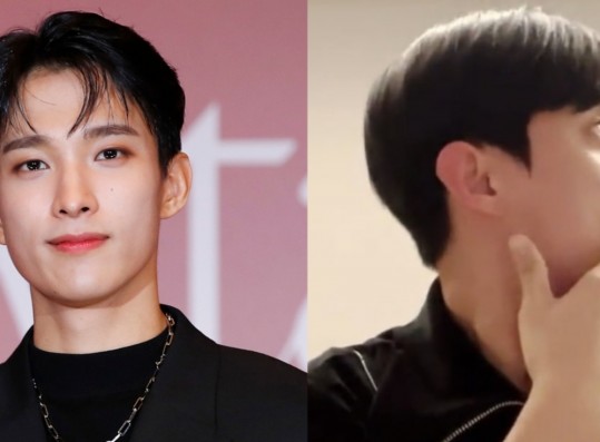 SEVENTEEN DK Draws Attention for Deleted V Live Broadcast, Mentioned a Female Idol's Name?