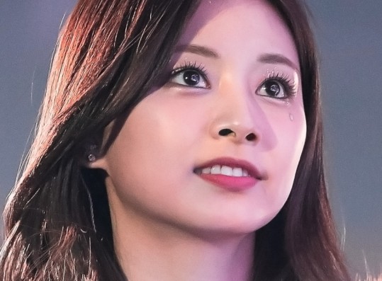 TWICE Tzuyu Net Worth 2022 — How Rich is the ZOOC Muse?