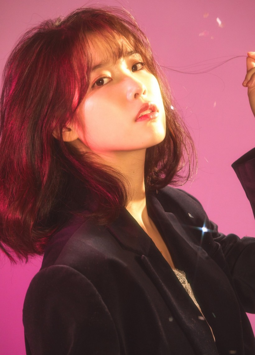 Are Idols 'Lower' Than Musicians? IU Draws Attention for Her Thoughts on Idols – Here's What She Said