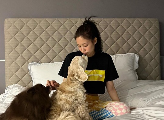 Jennie wears a crop top and has a healing time with her dogs