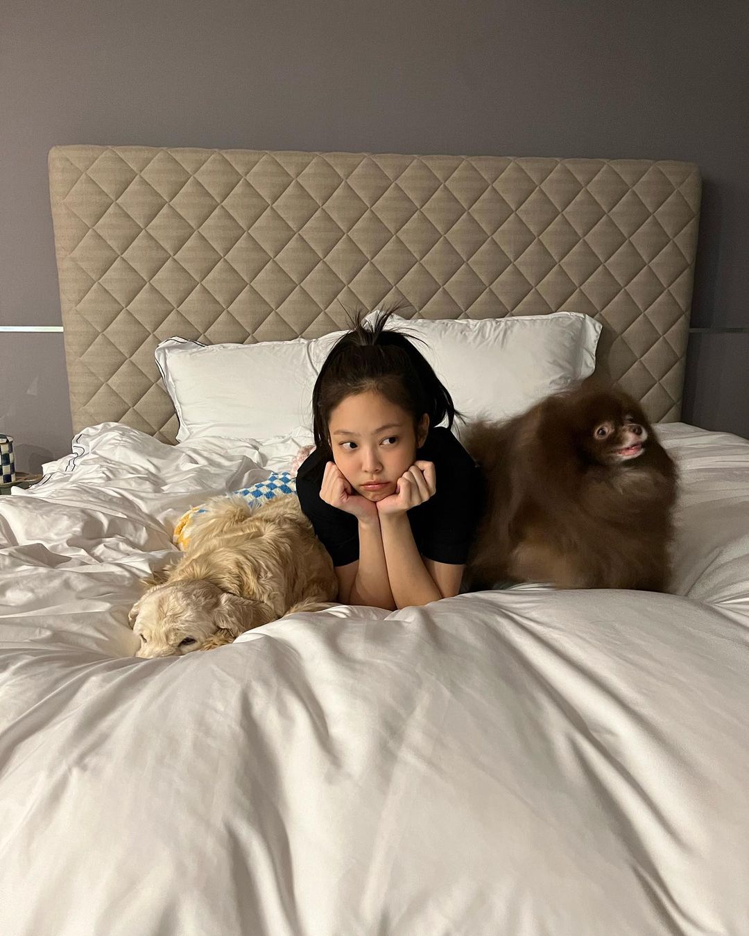 Jennie wears a crop top and has a healing time with her dogs