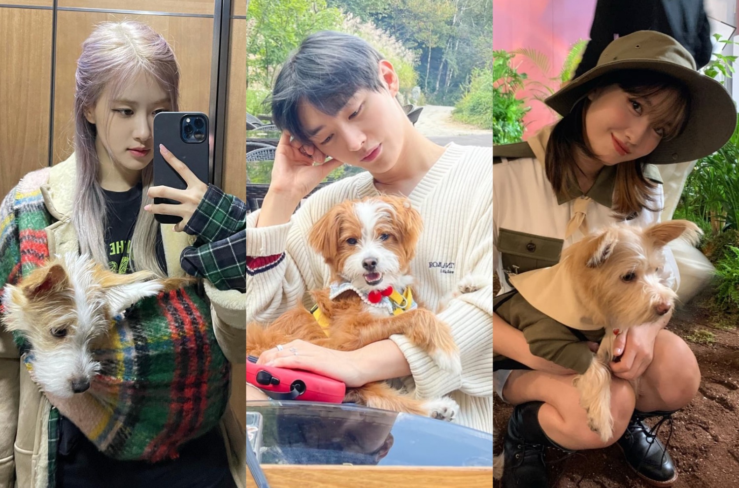 6 Korean celebrities who adopted abandoned dogs, from Blackpink's Rosé and  Netflix's Sweet Home star Lee Do-hyun, to former Wanna One member Yoon  Ji-sung