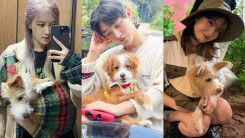 9 Kpop Idols Who Adopted Abandoned Dogs and Gave Them Second Chance at Life
