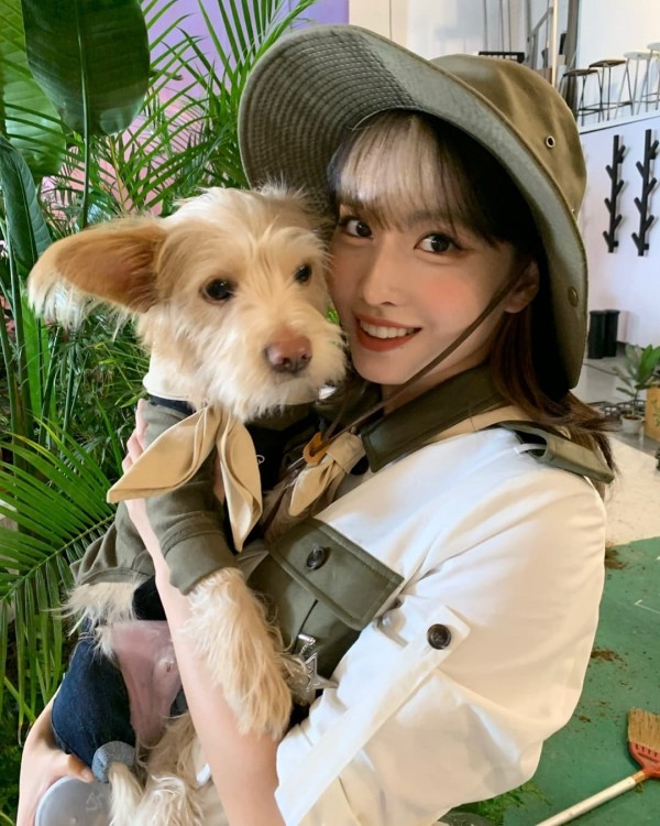 6 Korean celebrities who adopted abandoned dogs, from Blackpink's Rosé and  Netflix's Sweet Home star Lee Do-hyun, to former Wanna One member Yoon  Ji-sung