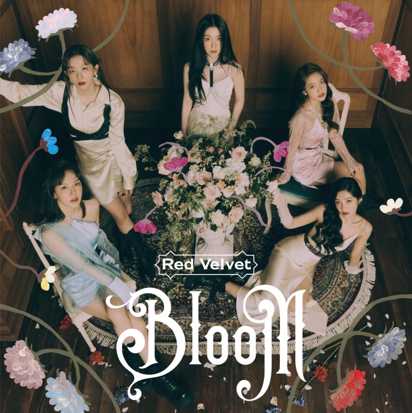 Red Velvet 'Bloom'