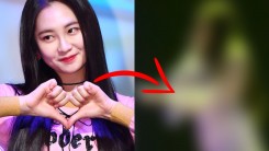Former MOMOLAND Taeha Surprises Many With Drastic Weight Gain