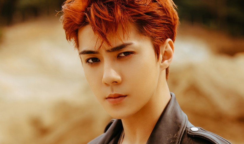 EXO Sehun Accused of Frequenting Adult Establishments – Here's What Happened