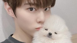 Kim Wooseok Apologizes Following Pet Cruelty Allegations