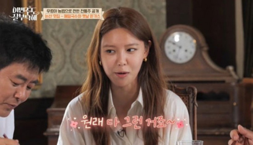 Girls' Generation Sooyoung's Unexpected Ideal Type Draws Attention