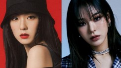 Noze Compared to Red Velvet Irene Following Power Abuse Controversy