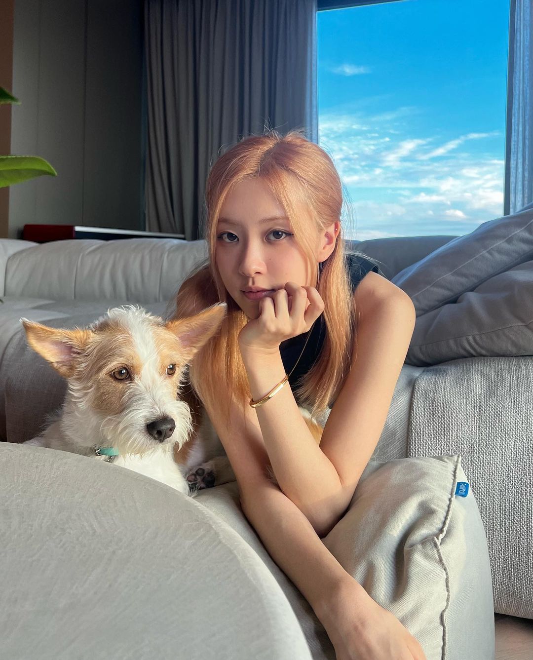 Rosé, a peaceful daily life with a dog.. Daily life is a pictorial