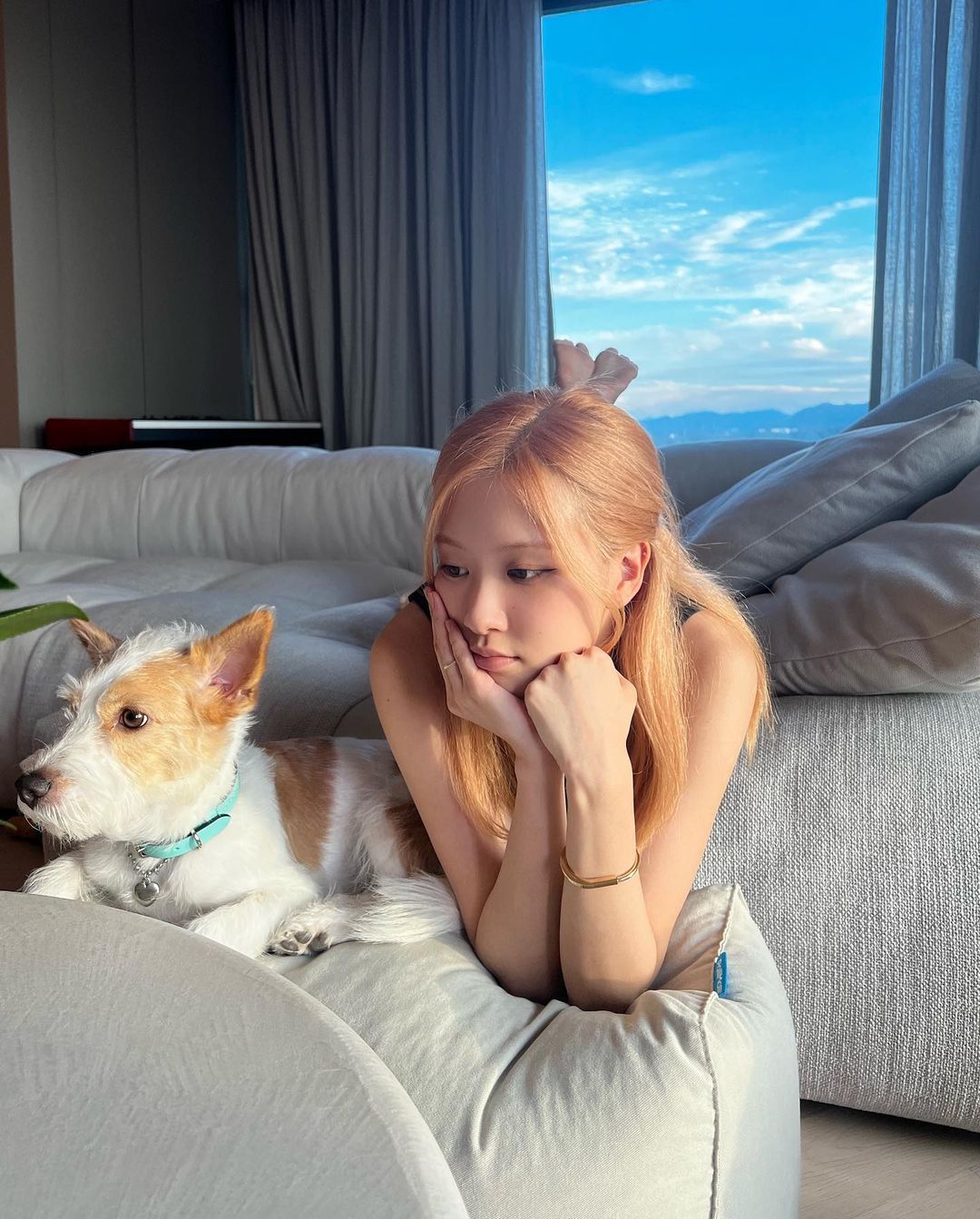 Rosé, a peaceful daily life with a dog.. Daily life is a pictorial