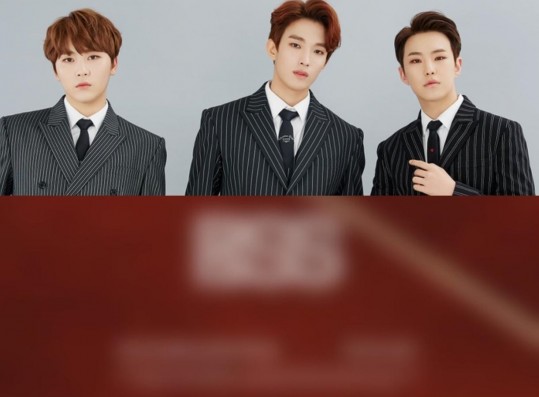 SEVENTEEN BooSeokSoon 