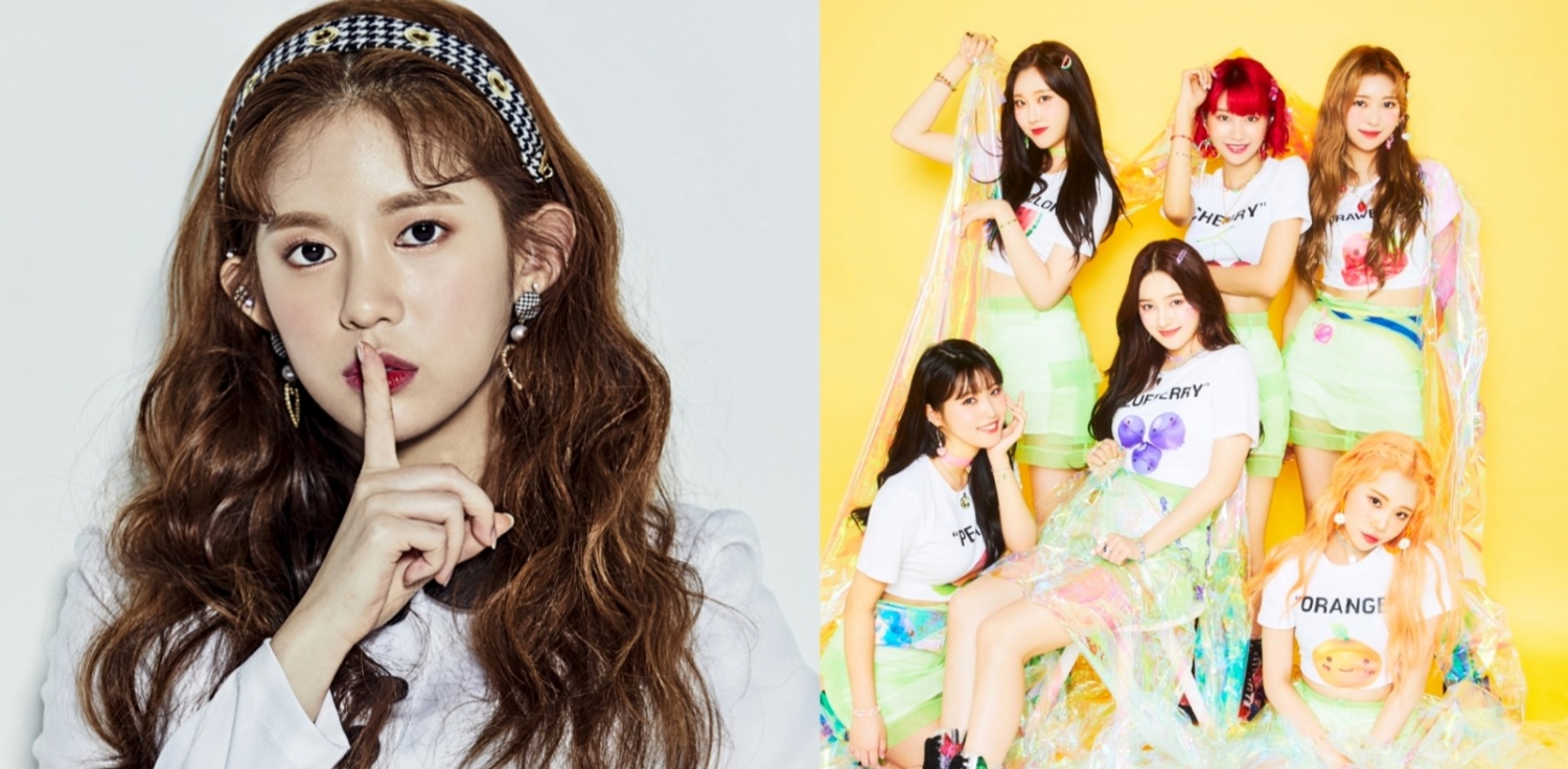 Daisy reagiert auf die Vertragsauflösung von MOMOLAND mit MLD Entertainment