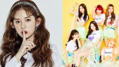 Daisy Reacts To MOMOLAND's Contract Termination With MLD Entertainment