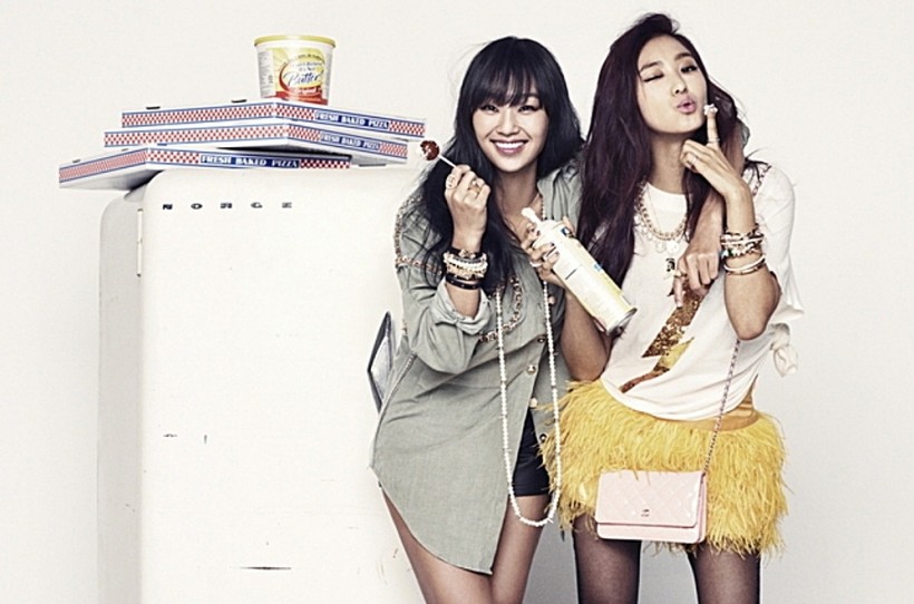 People Claim THIS 2nd-Gen Duo As Most Successful Female Sub-Unit in K-pop