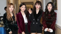 How Did Red Velvet End Up Performing in North Korea? Group's Participation Explained