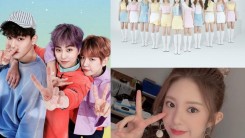 5 K-pop Artists Who Sued Their Company: EXO-CBX, LOONA, More
