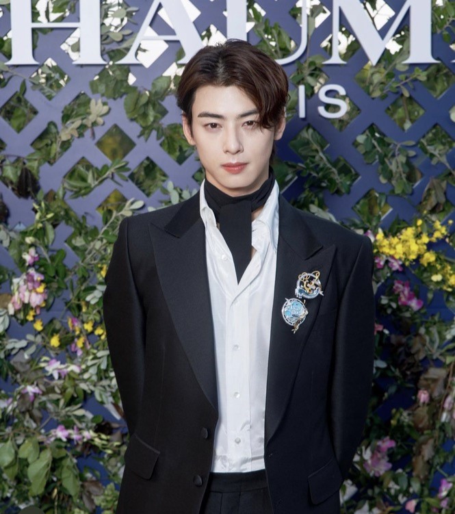 ASTRO Cha Eun Woo's Net Worth: From Making Over $5 Million From Acting, To  Owning A Luxurious Penthouse Worth $4 Million - This 'True Beauty' Star  Surely Shines The Brightest With His Earnings!