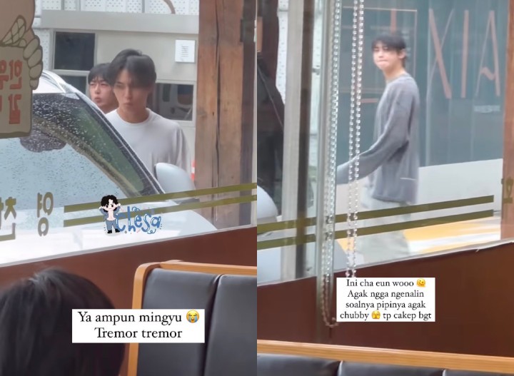 SEVENTEEN Mingyu Secretly Filmed with ASTRO and MONSTA X by Sasaeng, Fans Outraged