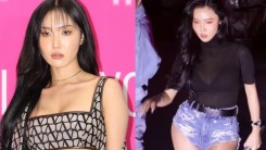 Hwasa To Receive Punishment for 'Public Indecency'? Lawyer Discusses Controversy