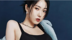 VIVIZ SinB