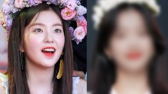 Red Velvet Irene Little Sister? THIS 4th-Gen K-pop Idol Sparks Debate on Social Media