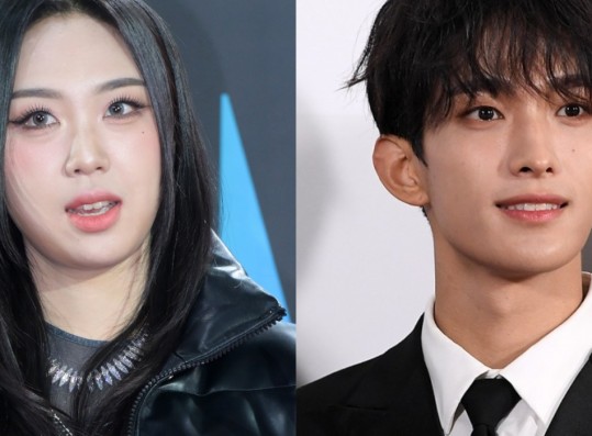 Lee Young Ji Apologizes For Sharing Messages From SEVENTEEN DK— Here's What Happened